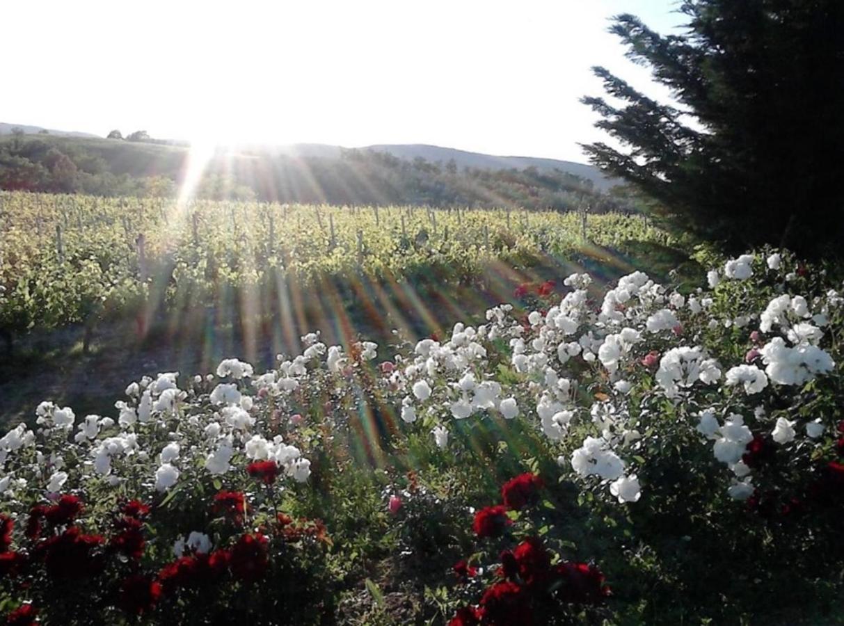 Agriturismo Fattoria Il Piano - Appartamento Lavanda - 산지미냐노 외부 사진